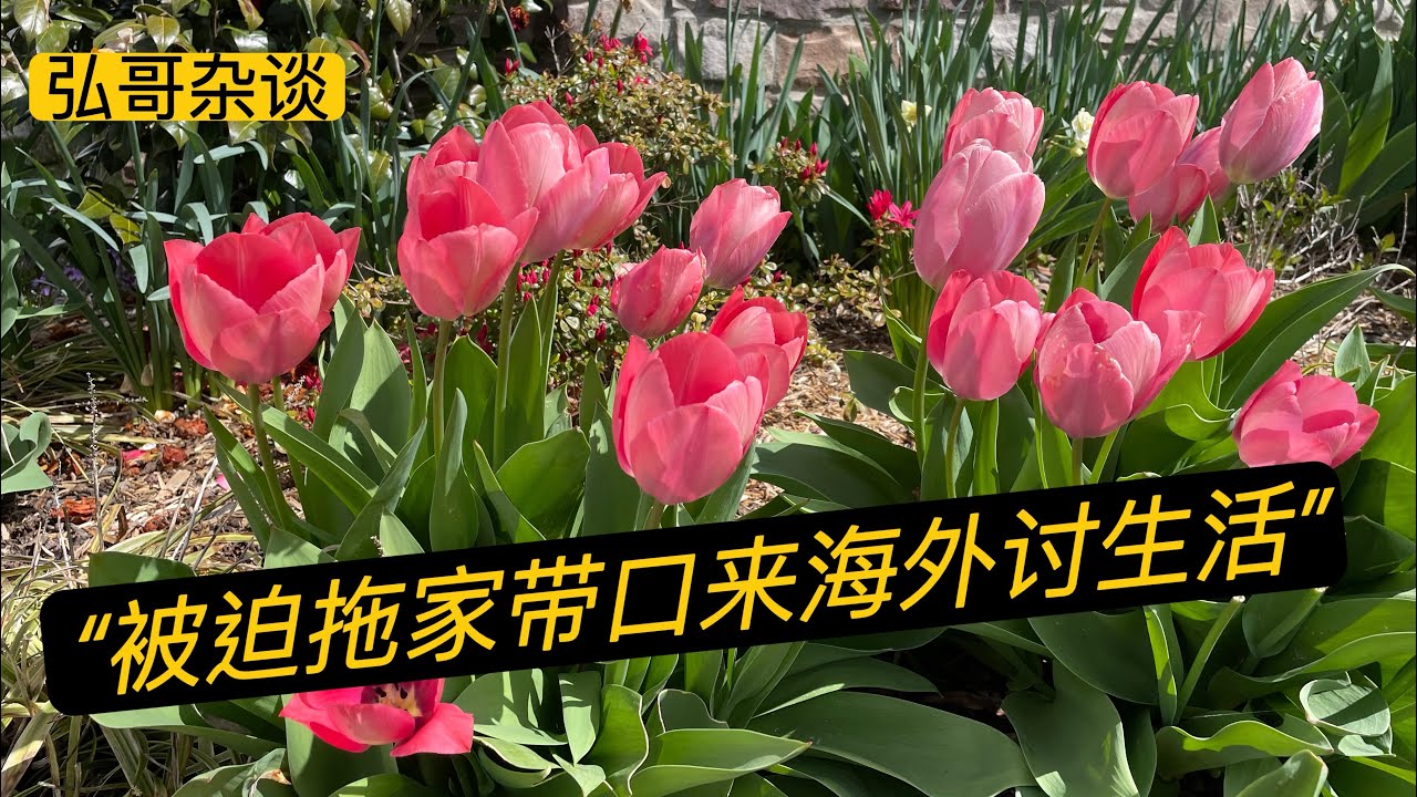 ”我要不要离婚？我怎么把 “她” 赶出去？” 移民澳大利亚十六年，努力打拼为孩子上私立学校。关于原生家庭、中年夫妻、海外生活，来自一位事业型女性的内心独白。