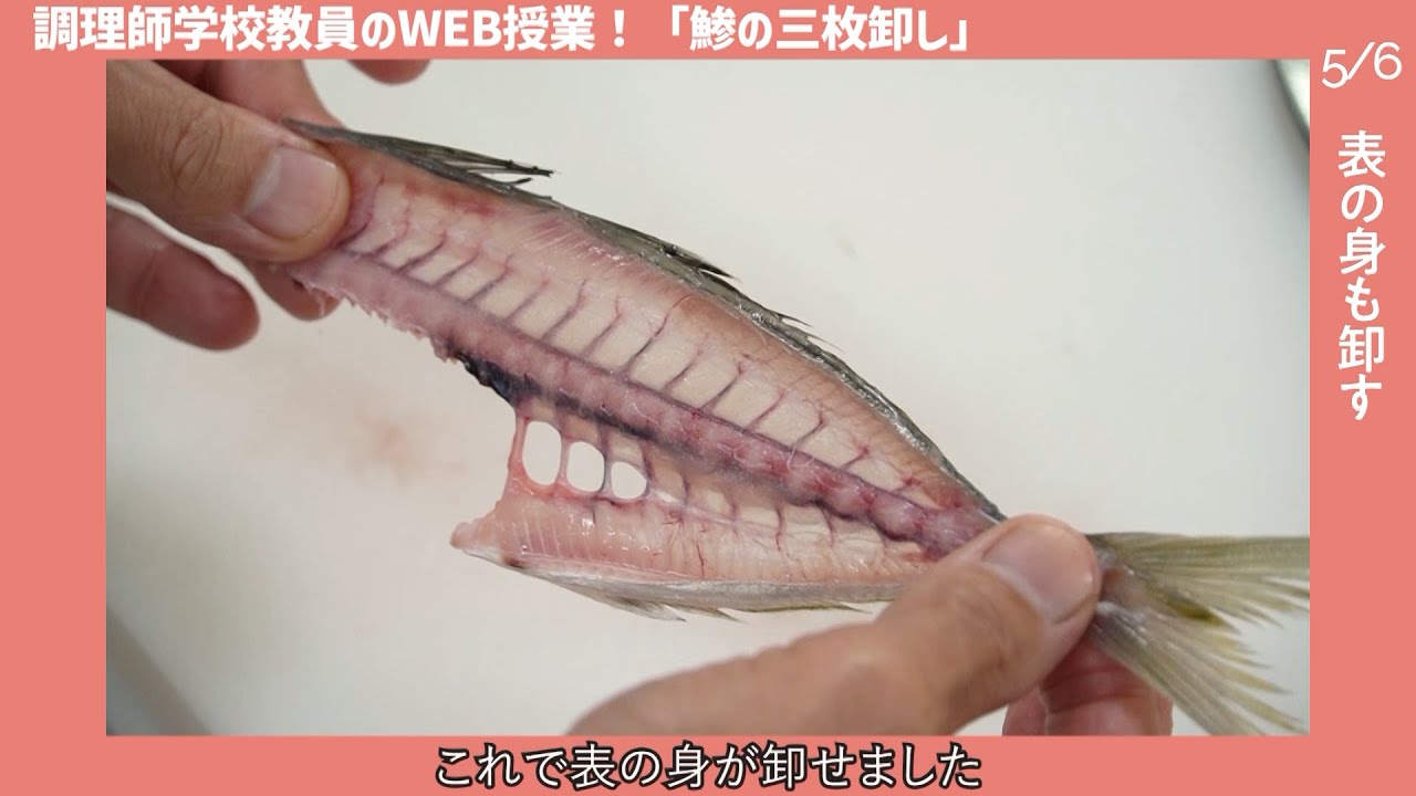 鯵の三枚卸しのやり方！ポイント解説付き！【調理師学校の教員が教える】