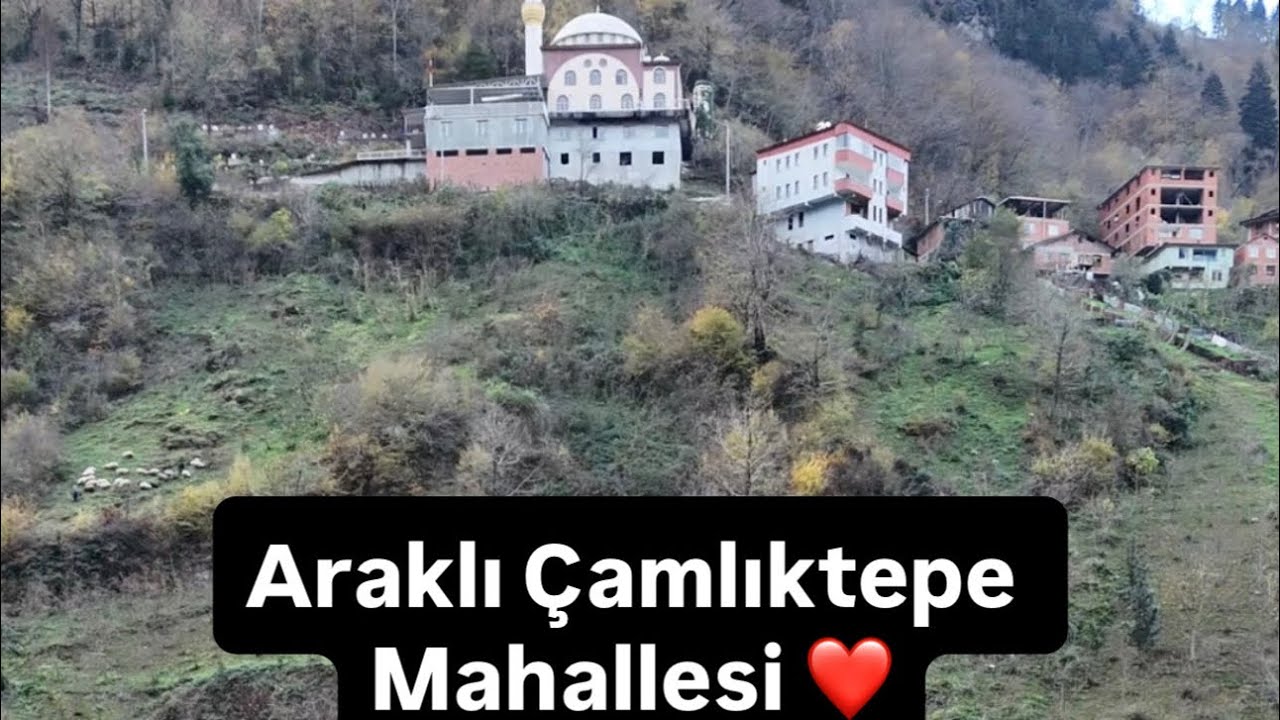 Araklı Çamlıktepe Mahallesi’ni bilir dediğine gönderip kanala abone olmayı unutmayın ❤️