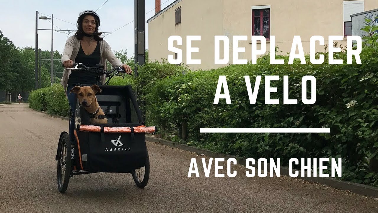 Transporter son chien à vélo, C'EST POSSIBLE !