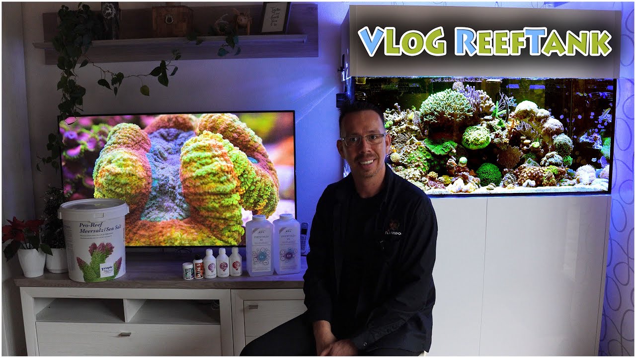 VLOG Reeftank , Meerwasser Aquarium Update!