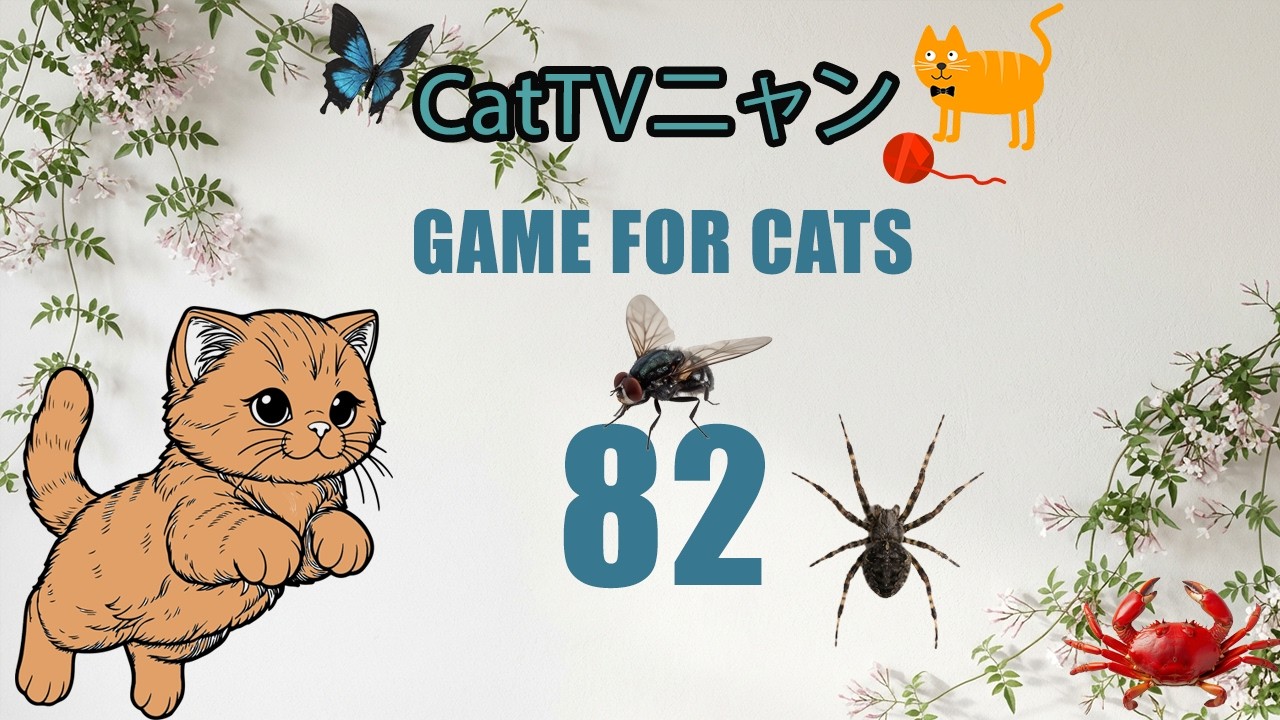 猫の本能全開！5時間の狩りタイム🎯 | CatTVニャン #82
