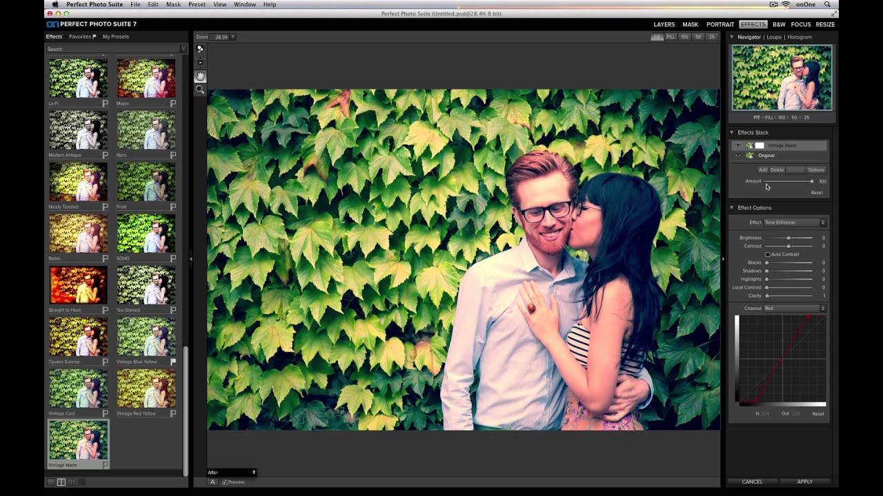 Perfect Effects 4 - Working With Effects Layers