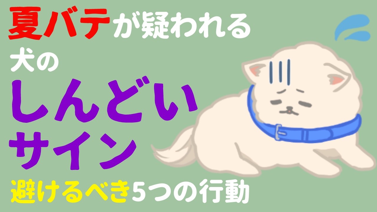 暑さ対策しても夏バテする？犬のしんどいサインと夏バテを悪化させる5つのNG行動