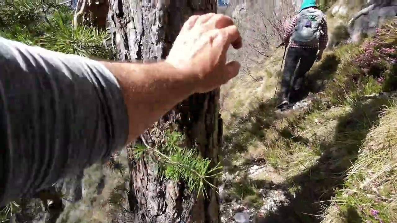 Monti del Sole e Gruppo del Piz de Mezodì: Zengión del Col Pizzón