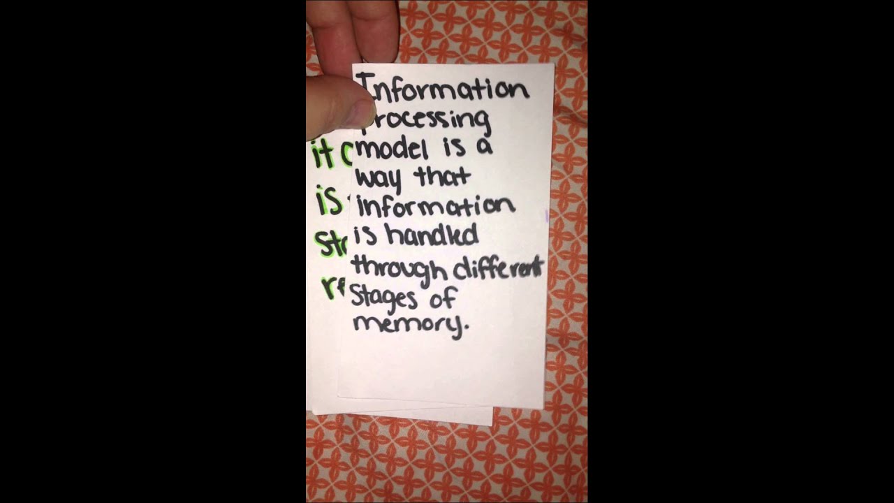 Information processing model