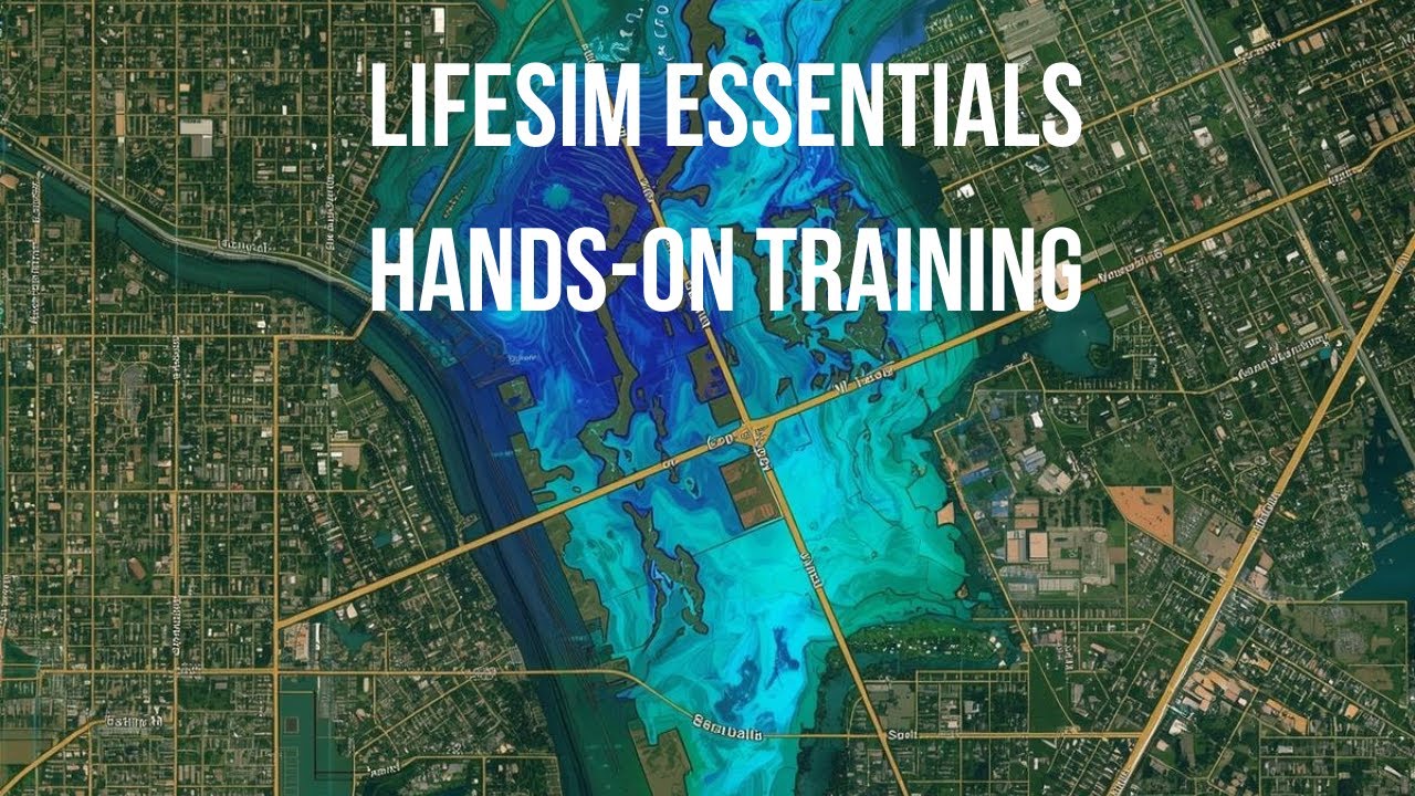 Szkolenie praktyczne LifeSim Essentials