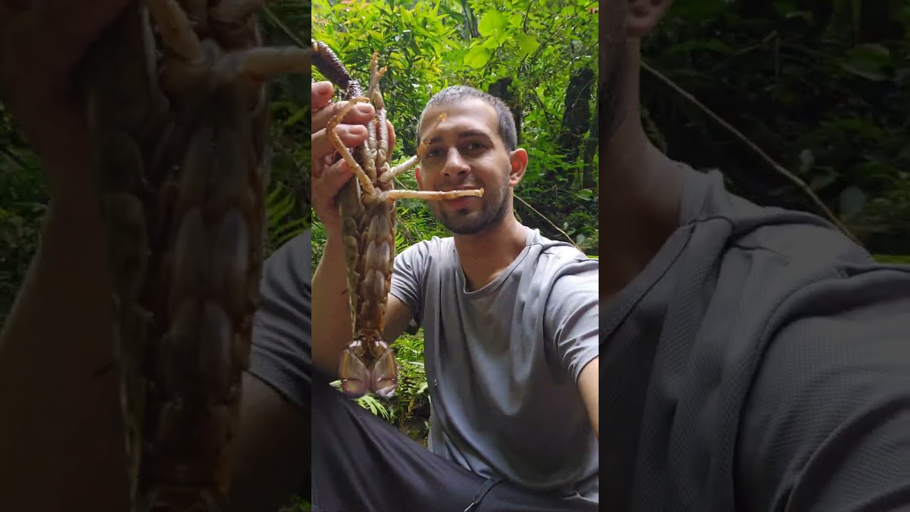 pesca de camarones  con nasas🦞🇵🇷