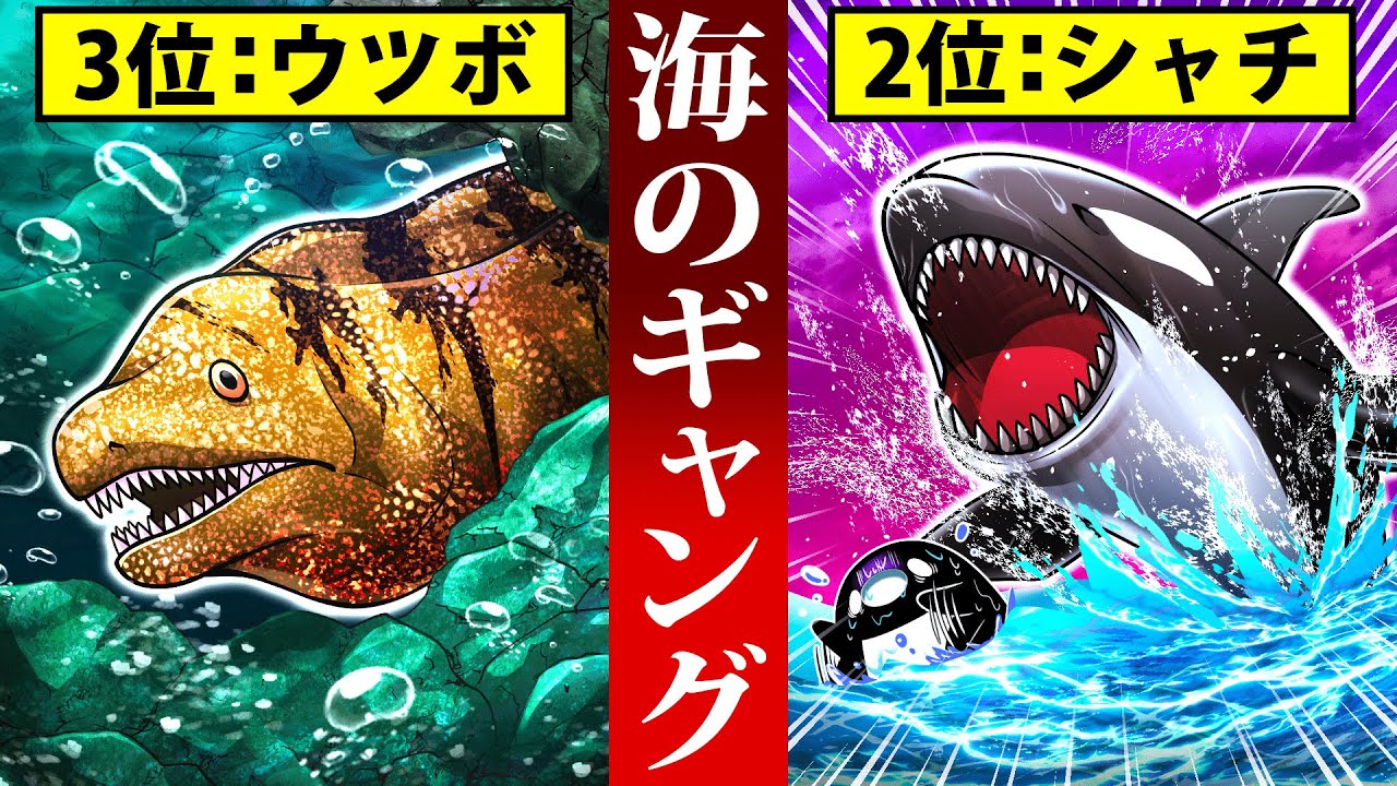 【1位はヤバい】海のギャング4選【アニメ】