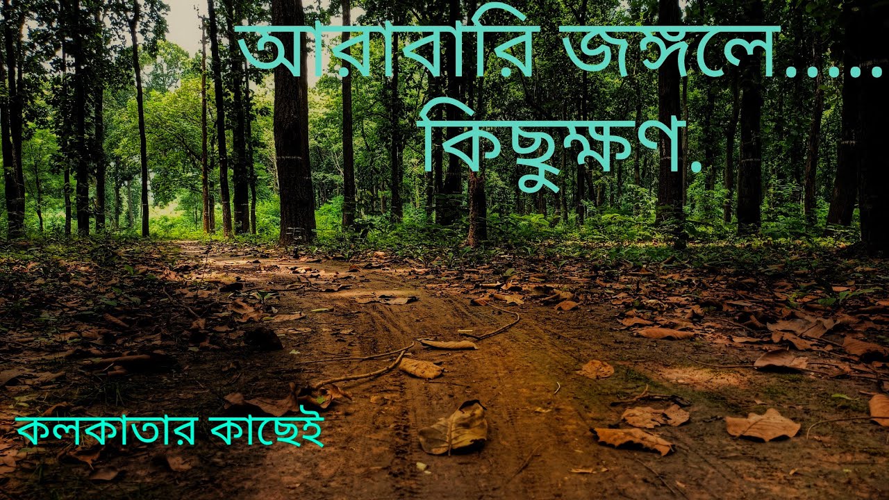Arabari Forest Tour/ Offbeat Destination Near Kolkata/Tour and Clicks With Arnab/Weekend Tour/Vlog13