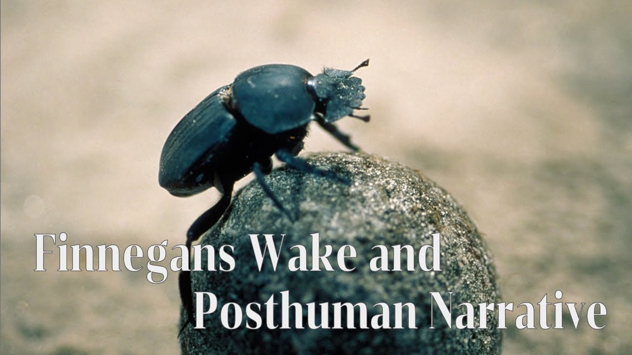 Finnegans Wake and Posthuman Narrative | Insectology in (I.4) 79.14-80.19