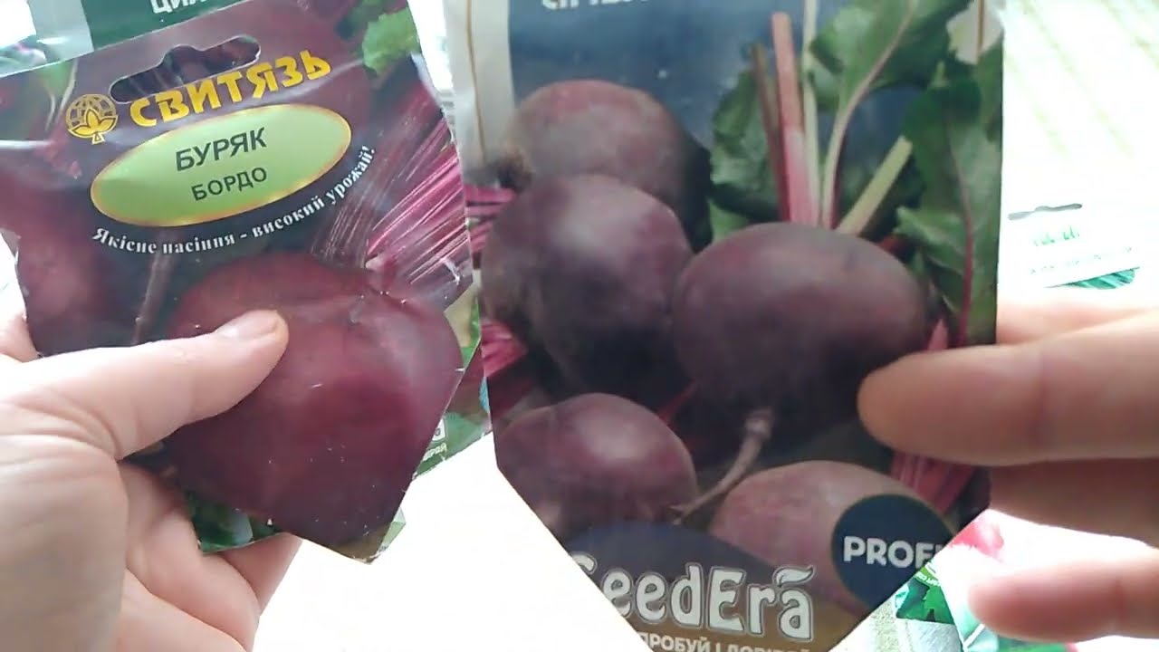  перебираю СЕМЕНА часть 1