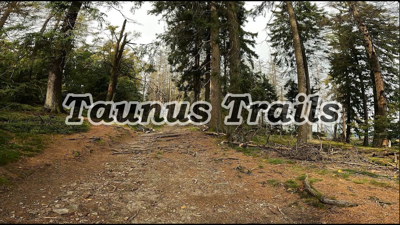 Trails im Taunus - Feldberg und Altkönig
