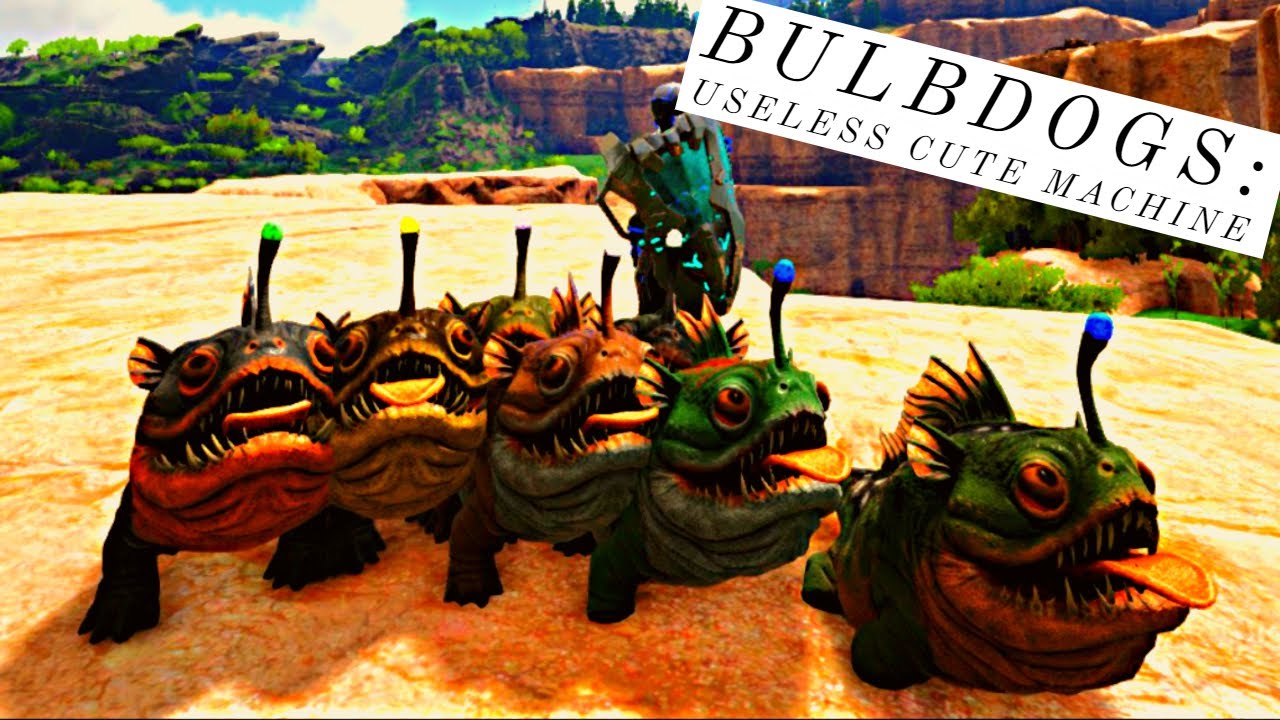 BULBDOGS: ARE THEY USEFUL AT ALL???