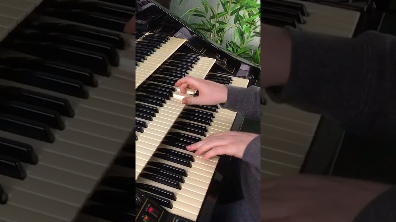 Lay Back in the Arms of Someone | Florian Hutter - Wersi Atlantis #shorts #schlager #orgel