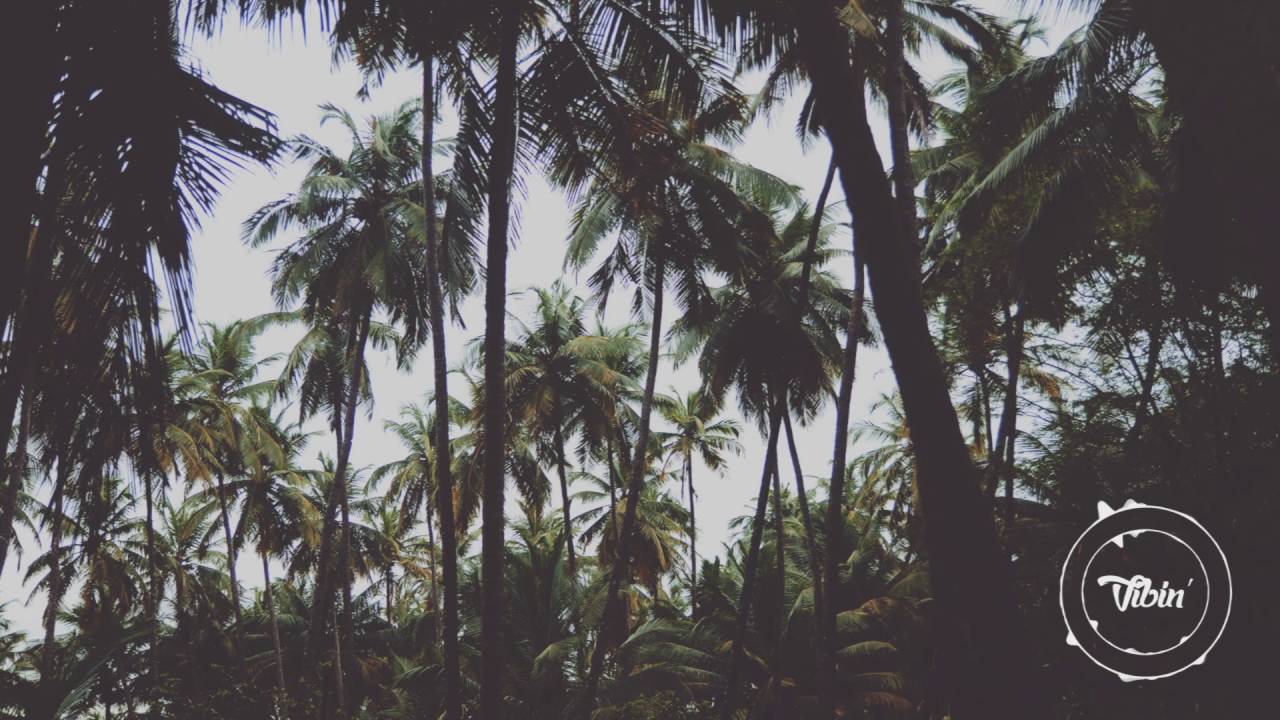 Machinedrum - Infinite Us (Ian Ewing & Flamingosis Flip)