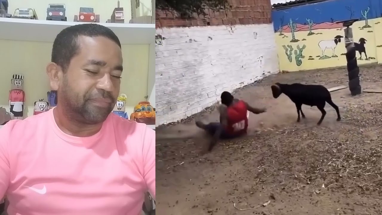 É Isso que Acontece Quando o Bode Bravo Ataca