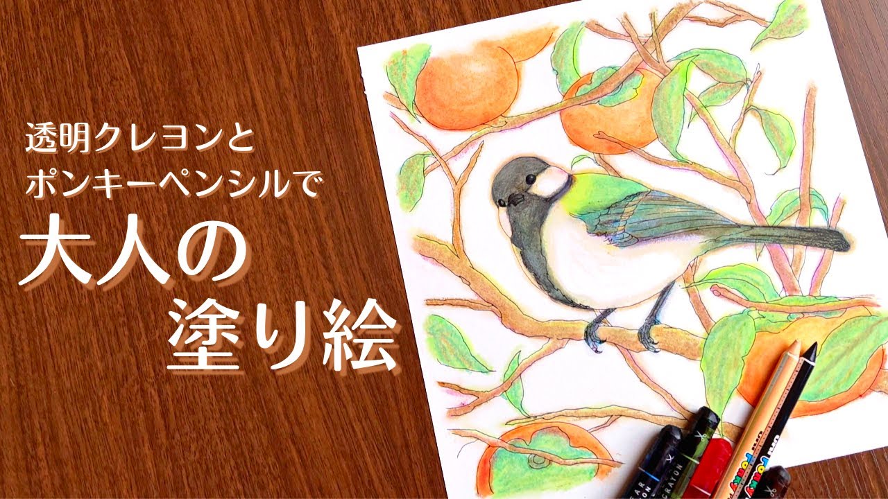 透明クレヨンとﾎﾟﾝｷｰﾍﾟﾝｼﾙで大人の塗り絵 ～シジュウカラ～【4K推奨】