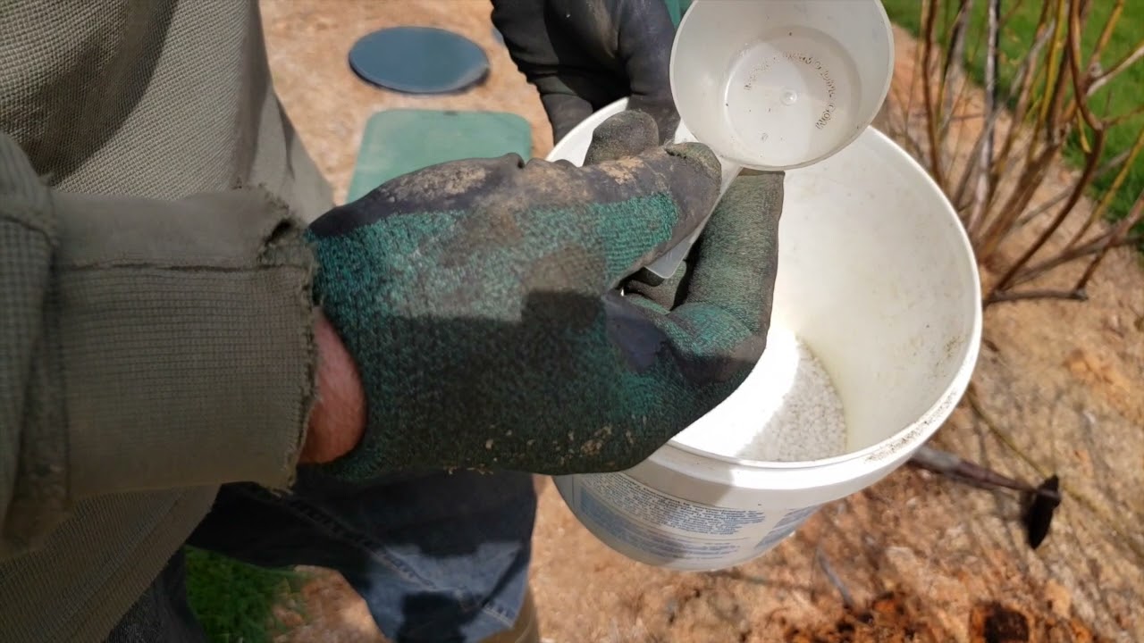 Blueberry Fertilizing Spring 2021   First Application
