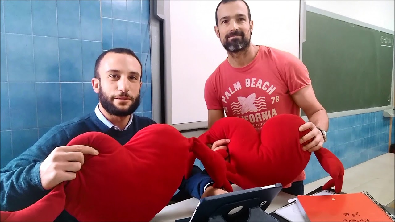 FELICITACIÓN NAVIDEÑA 2017 PROFESORES ESO