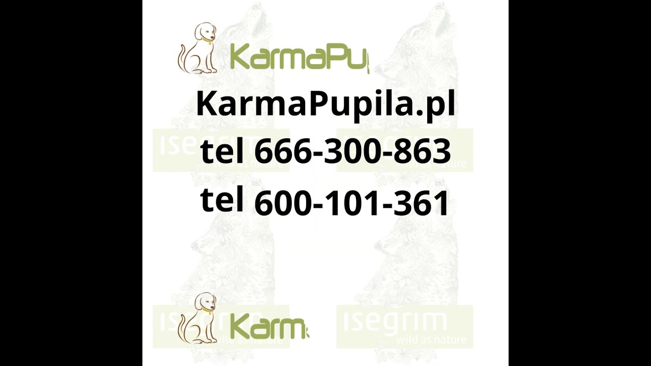 KarmaPupila pl tel 666 300 863 tel 600 101 361 karmapupila@karmapupila pl