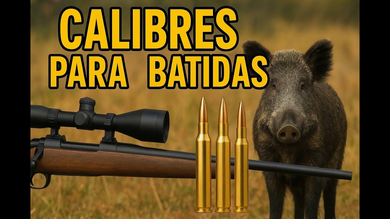 Los CALIBRES más usados en BATIDAS de caza mayor