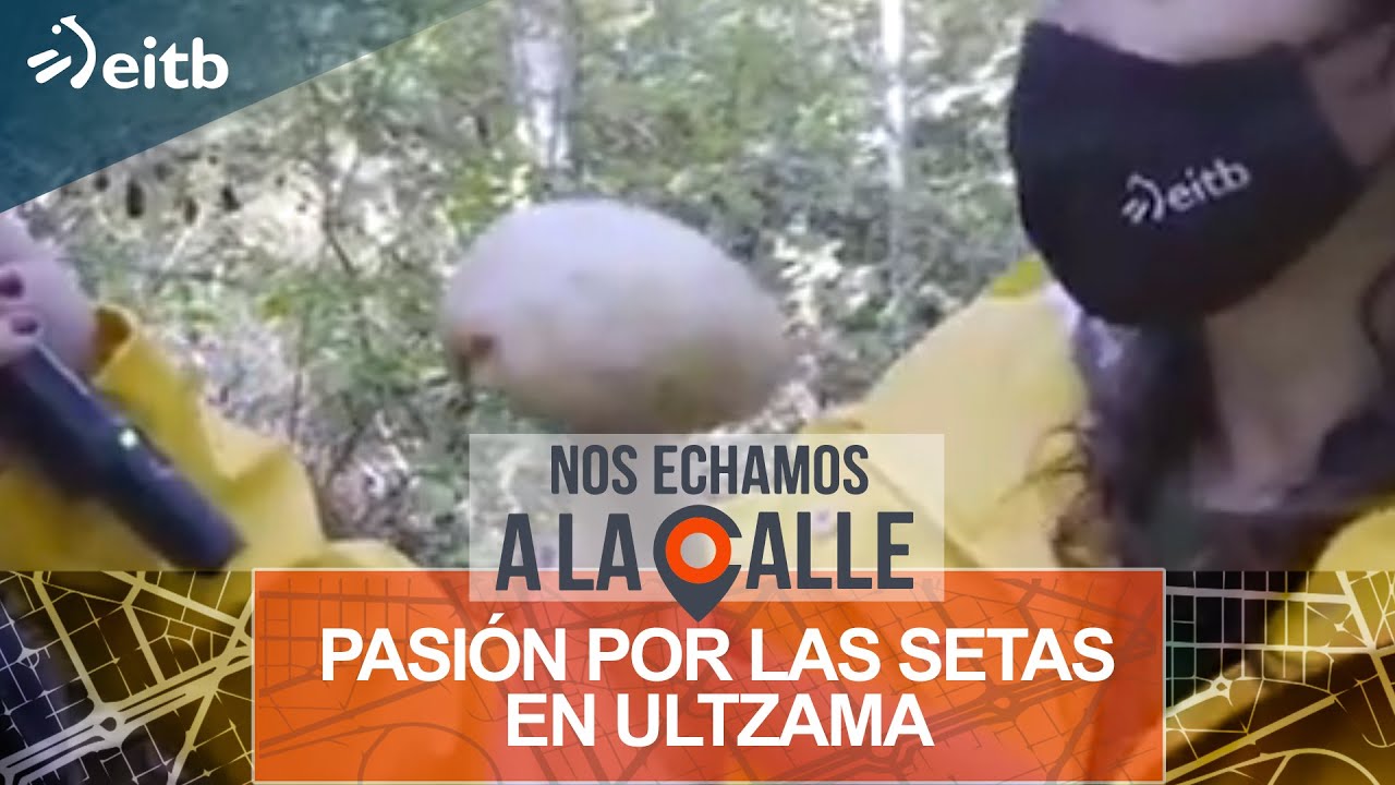 Por 7 euros, en el parque micológico de Ultzama se pueden recolectar 8 kilos de setas en un día