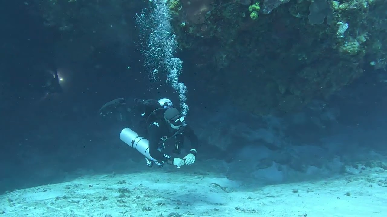 Tropical Scuba Diving in Cozumel Mexico Devils Throat 2025 Edition