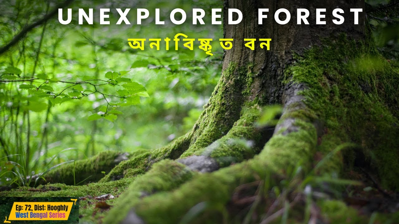 Must visit 9 hidden forest in Hooghly district, West Bengal | Ep - 72 | 153