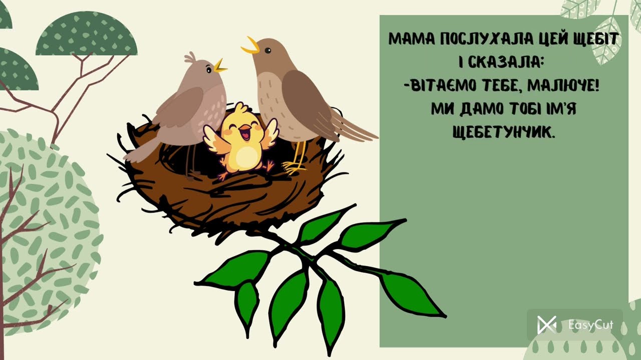 Дітям про права.  Казка ДВА ІМЕНІ МАЛЕНЬКОГО ЩЕБЕТУНЧИКА