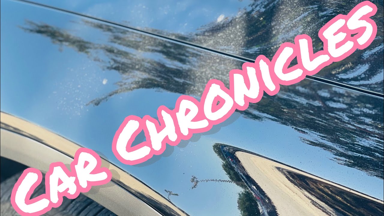 Автомобильные хроники | Границы и личное пространство | 6 сезон | E80