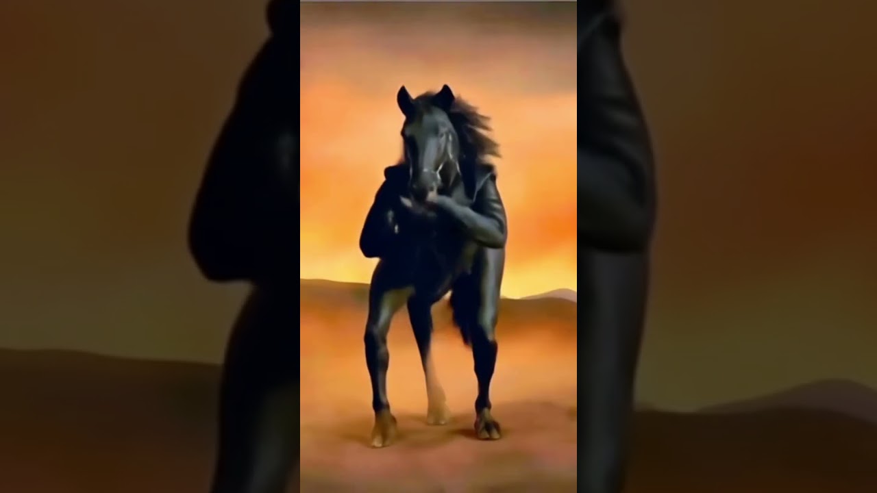 💥See the horse dancing man dance🔥 #horse #viralvideo #new #animals #funny