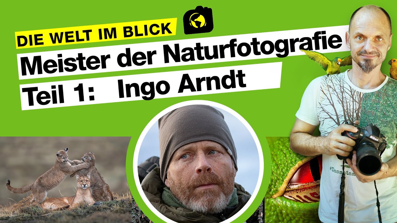 Meister der Naturfotografie: Ingo Arndt 🔴 #DieWeltImBlick mit Markus Mauthe