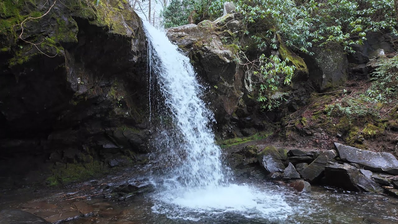 Ep. 34 Bullhead-LeConte-Trillium Gap - 2024 Mar 7 (Sylvan Reflections)