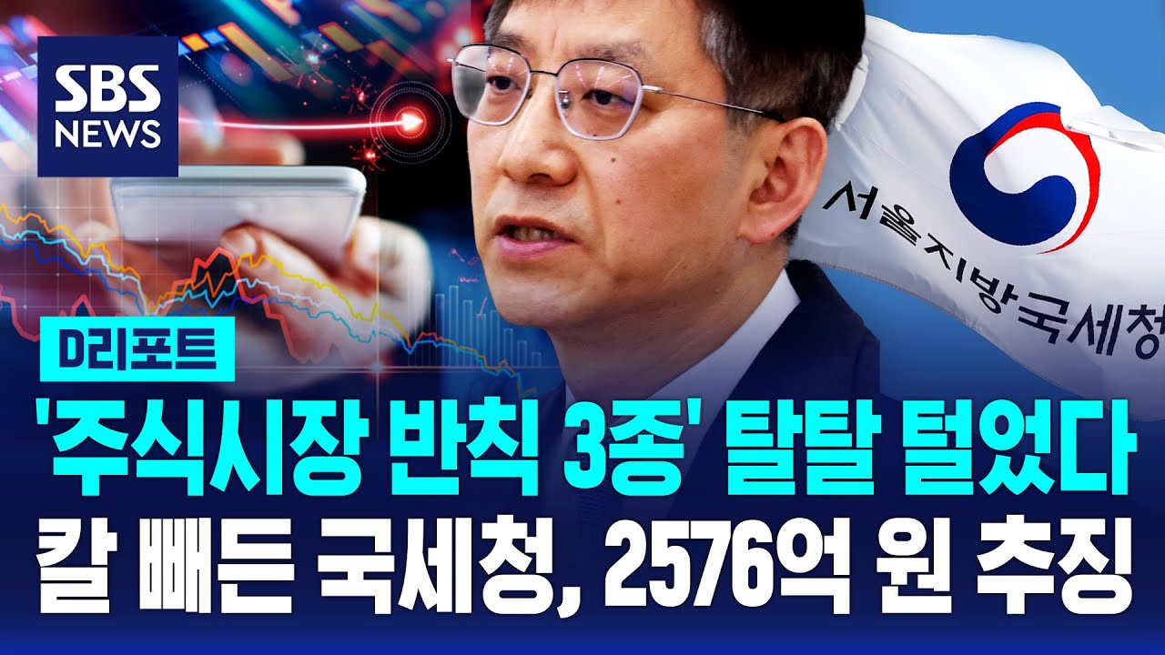 '주식시장 반칙 3종' 탈탈 털었다…칼 빼든 국세청, 2576억 원 추징 / SBS / #D리포트