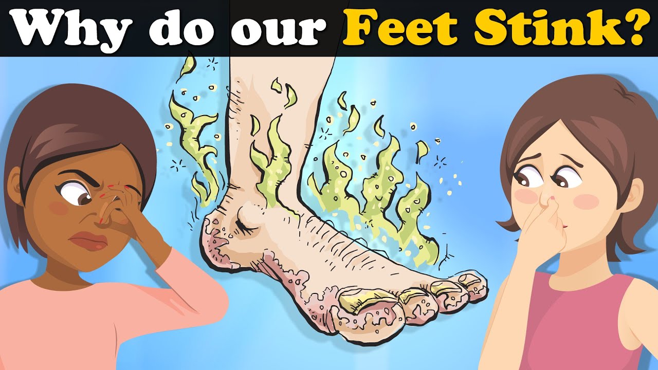 Why do our Feet Stink? + more videos | 