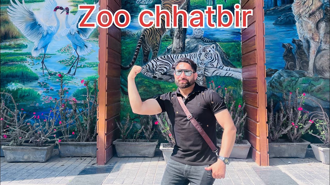 Zoo chhatbir 