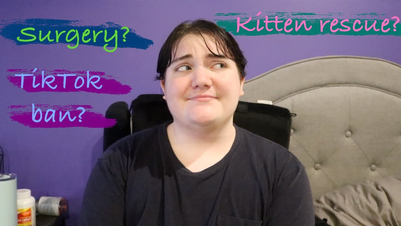 Another Life Update // My Surgery, My Thoughts on the Tiktok Ban, Where I'm at with Kitten Rescue