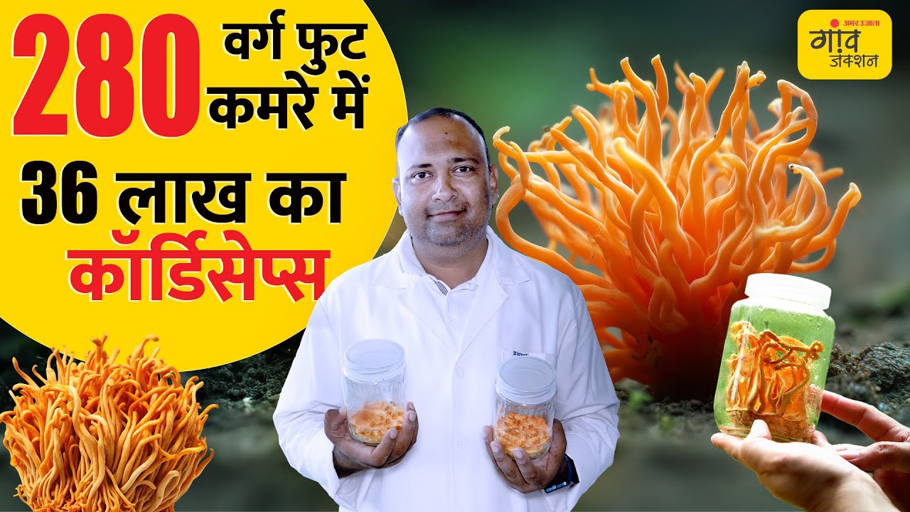 Mirzapur के किसान ने बदली किस्मत: कमरे में उगाई ₹3 लाख किलो वाली कीड़ा जड़ी | Gaon Junction LIVE