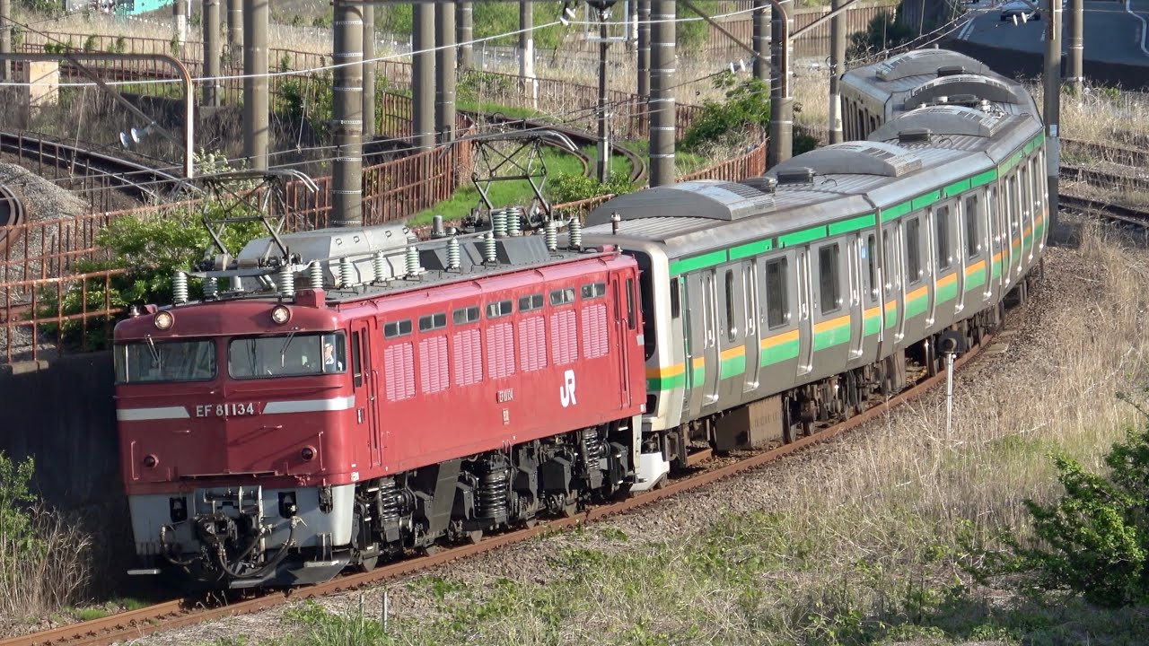 EF81 134牽引 E231系コツS-02編成 AT入場配給 2025.5.8【国府津車付属編成から機器未更新車消滅】