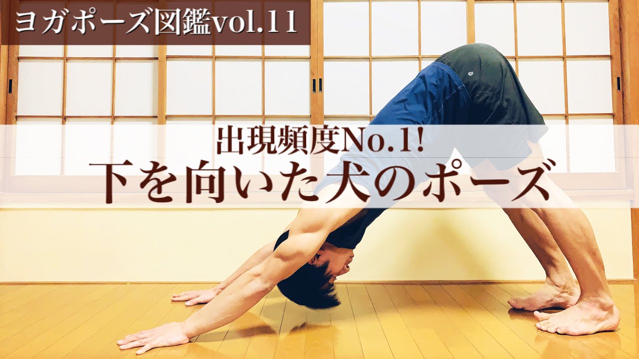【ヨガポーズ図鑑vol.11：ダウンドッグ】肩周りと股関節に効かせるコツ