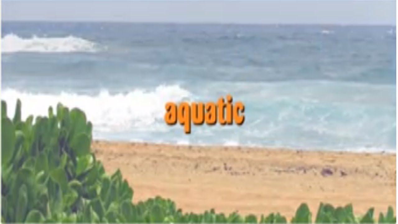 Eekoworld - Aquatic