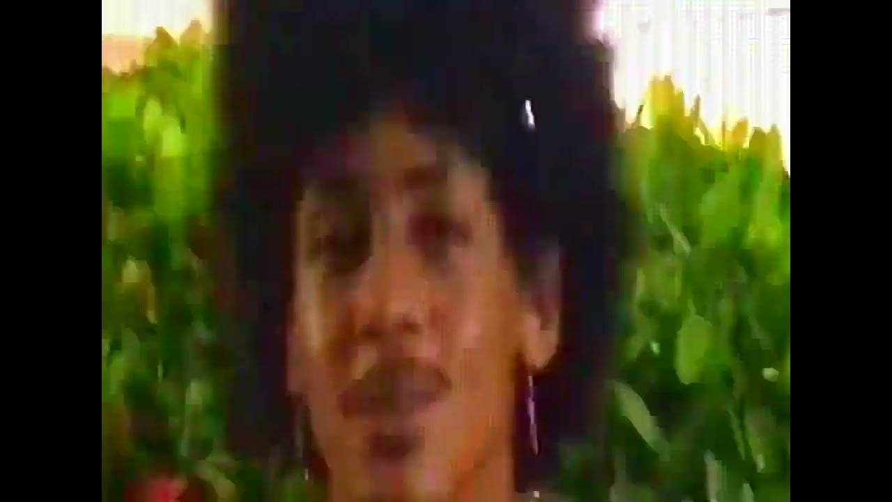 shaarksz - igual você *REUPLOAD*
