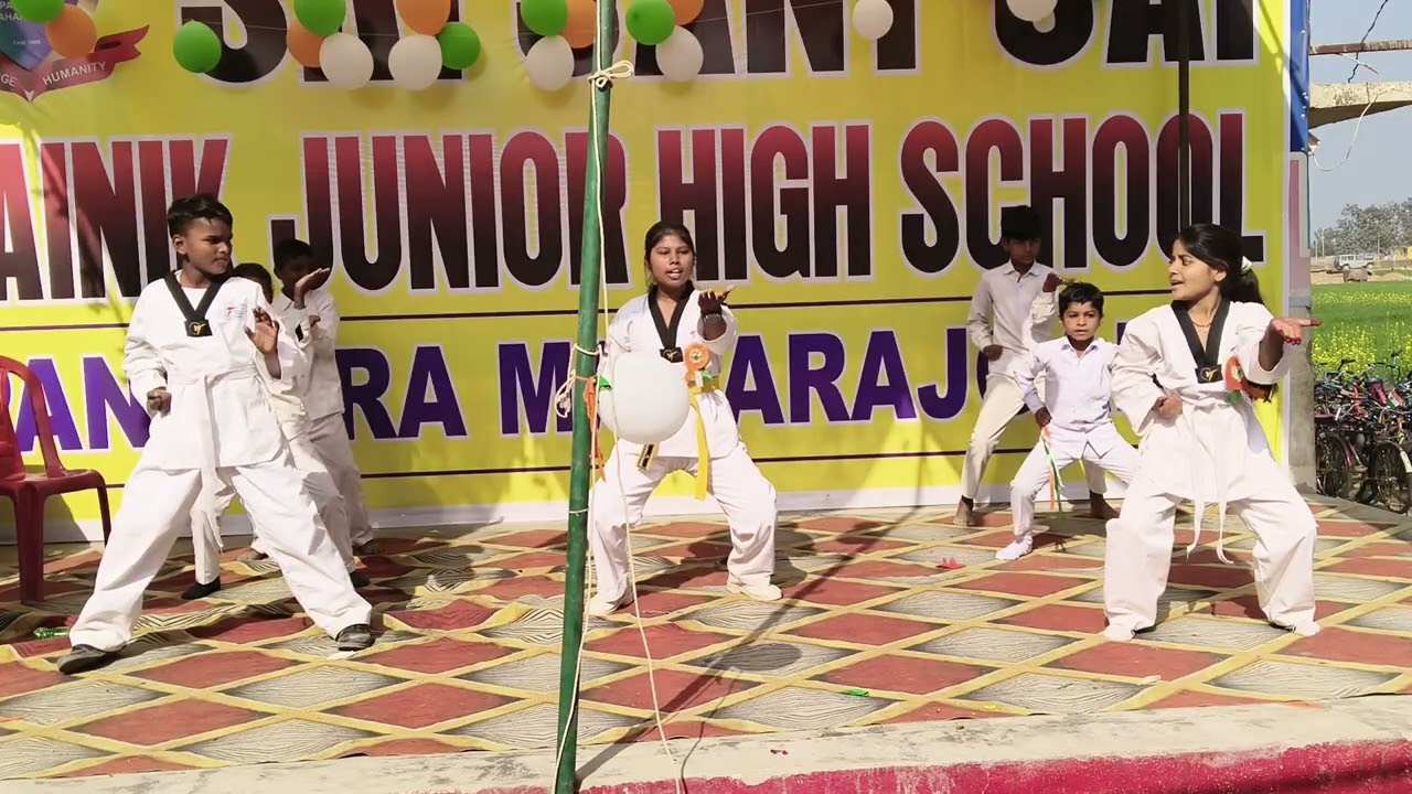 Taekwondo 🥋🥋 Performance by our taekwondo students