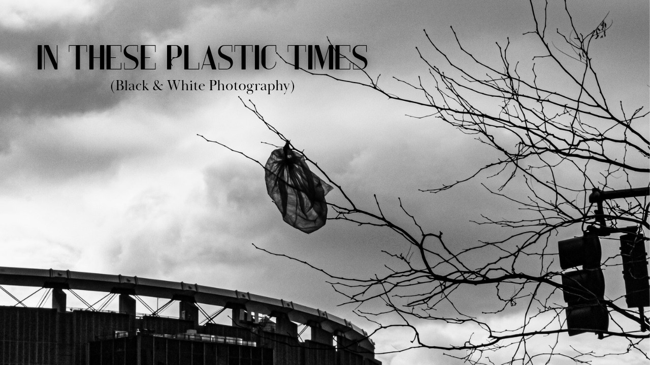 In These Plastic Times - Photography Escapades