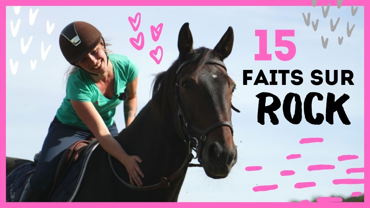 LES 15 FAITS SUR ROCK (...) !!!!! 🗯😱 I Georgette ou Taxi ? 🦄