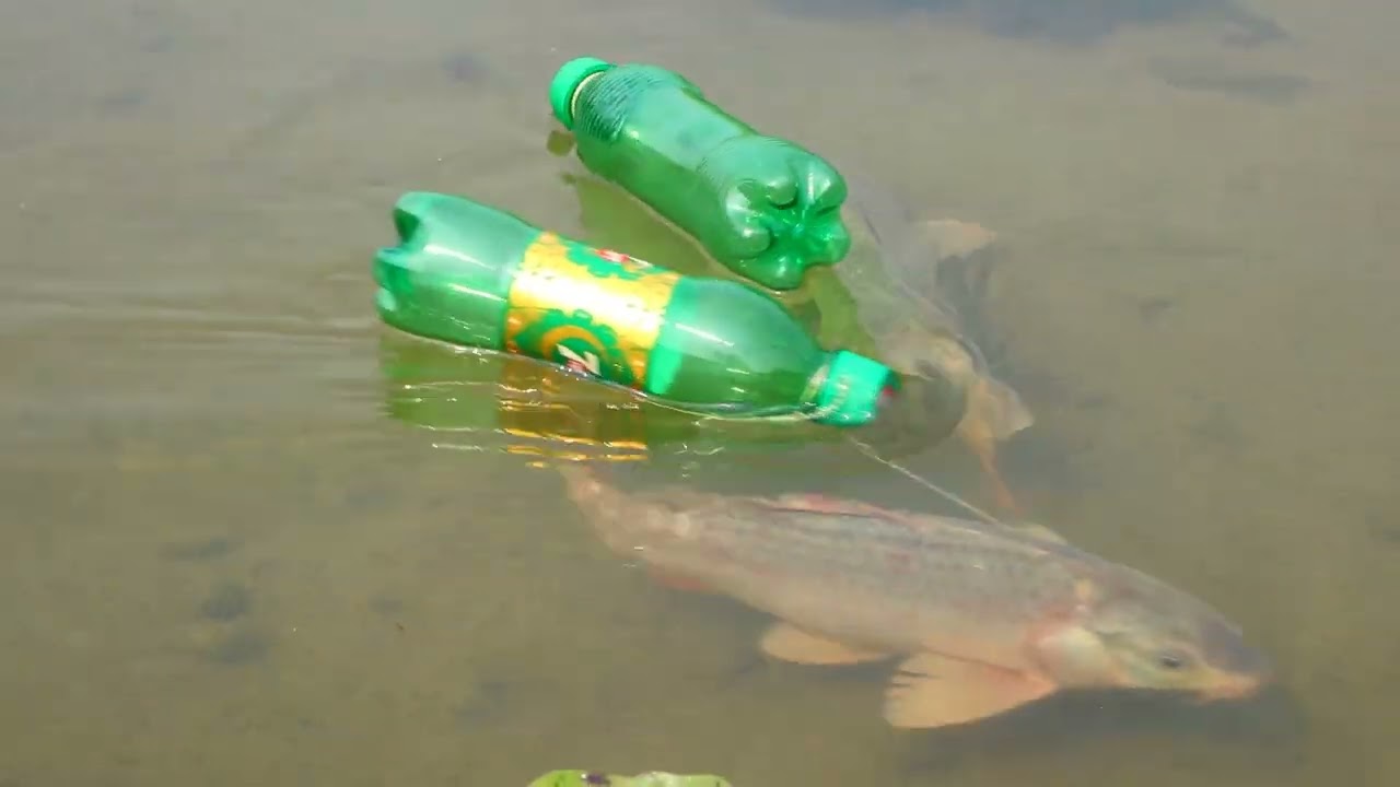 Easy Fish Trap With Plastic Bottle And Hook! Traditional Fishing Method!