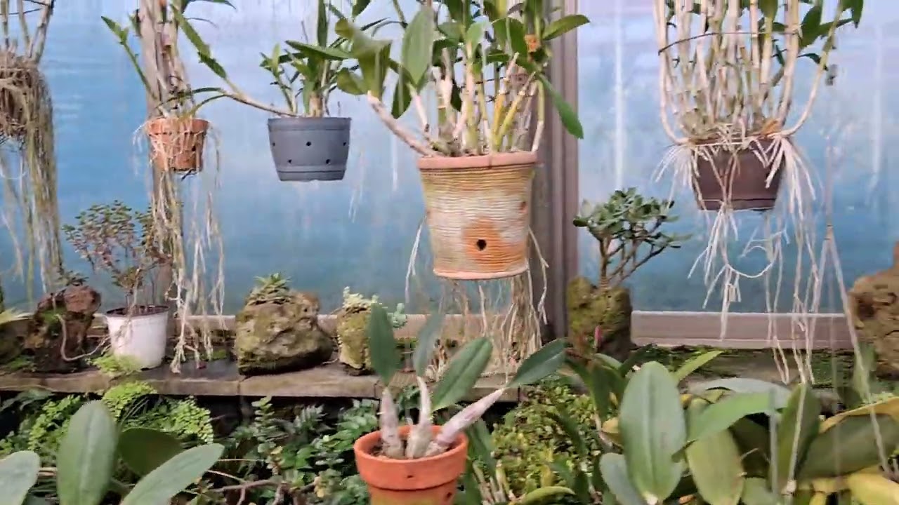 알로에 농장에서#행복#사랑 