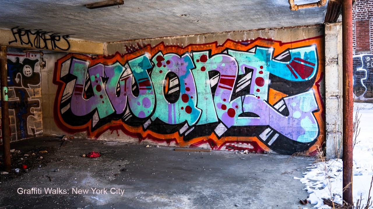 graffiti walks: new york city  |  feb/march 2026