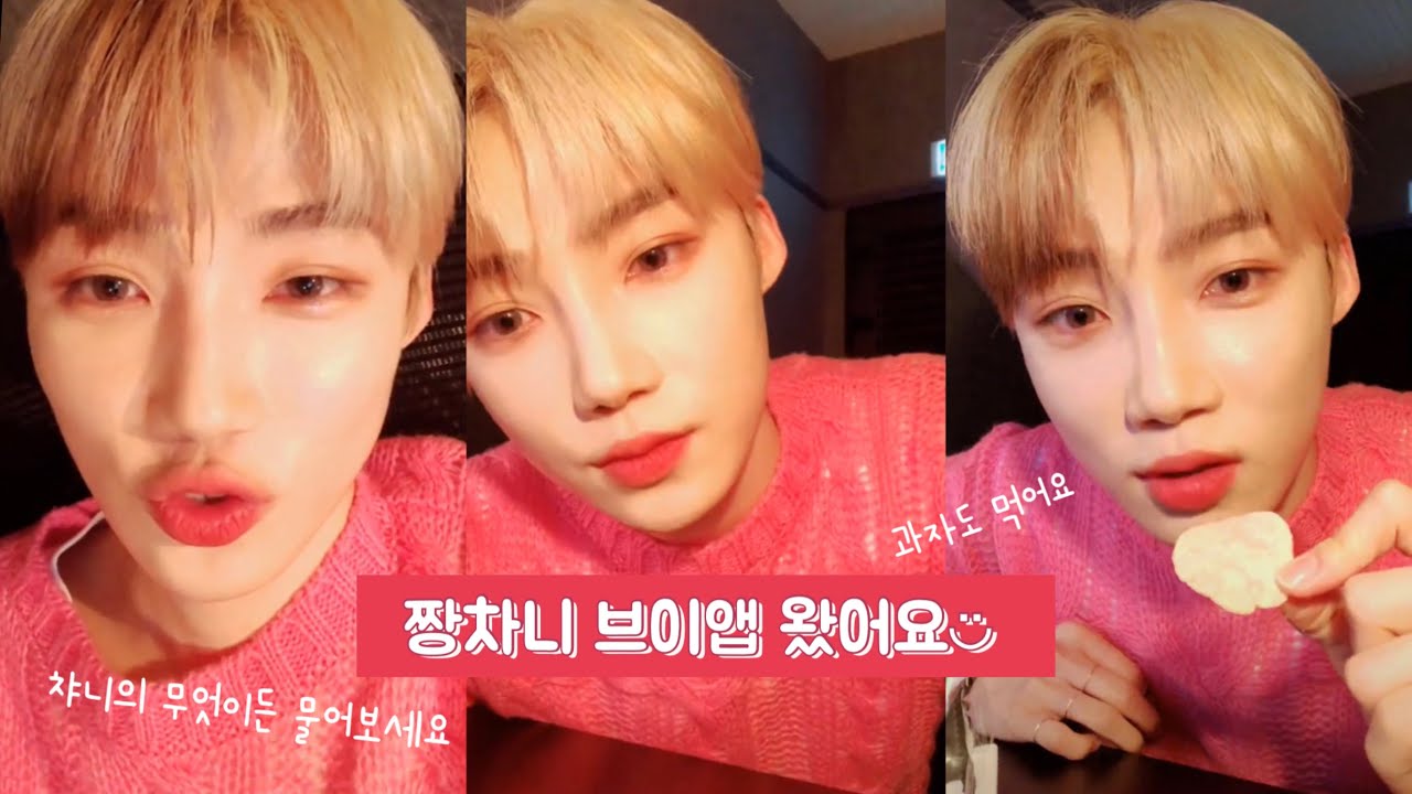 [더보이즈 뉴/최찬희] 브이앱을 기다리며 복습하기! (부제.챠니의 무엇이든 물어보세요)